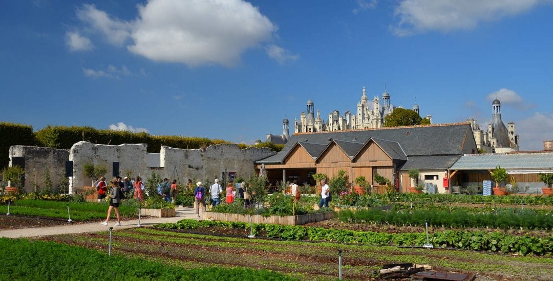 Visiter les jardins potagers de Chambord