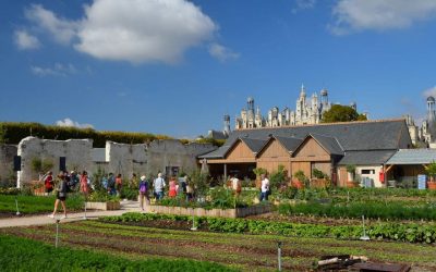 Visiter les jardins potagers de Chambord
