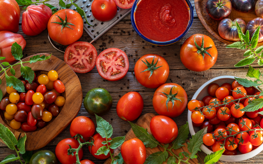 FOCUS VÉGÉTAL – Pas d’été sans tomates !