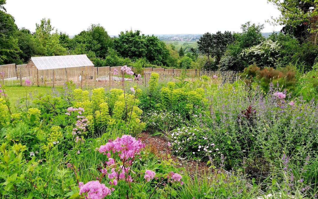 Dossier spécial : le jardin durable de Blois