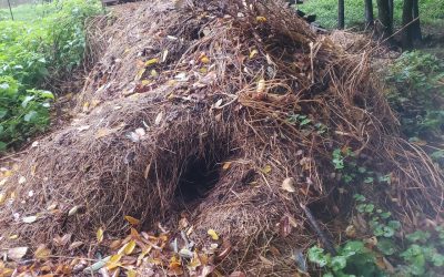 Construire un nid pour les hérissons