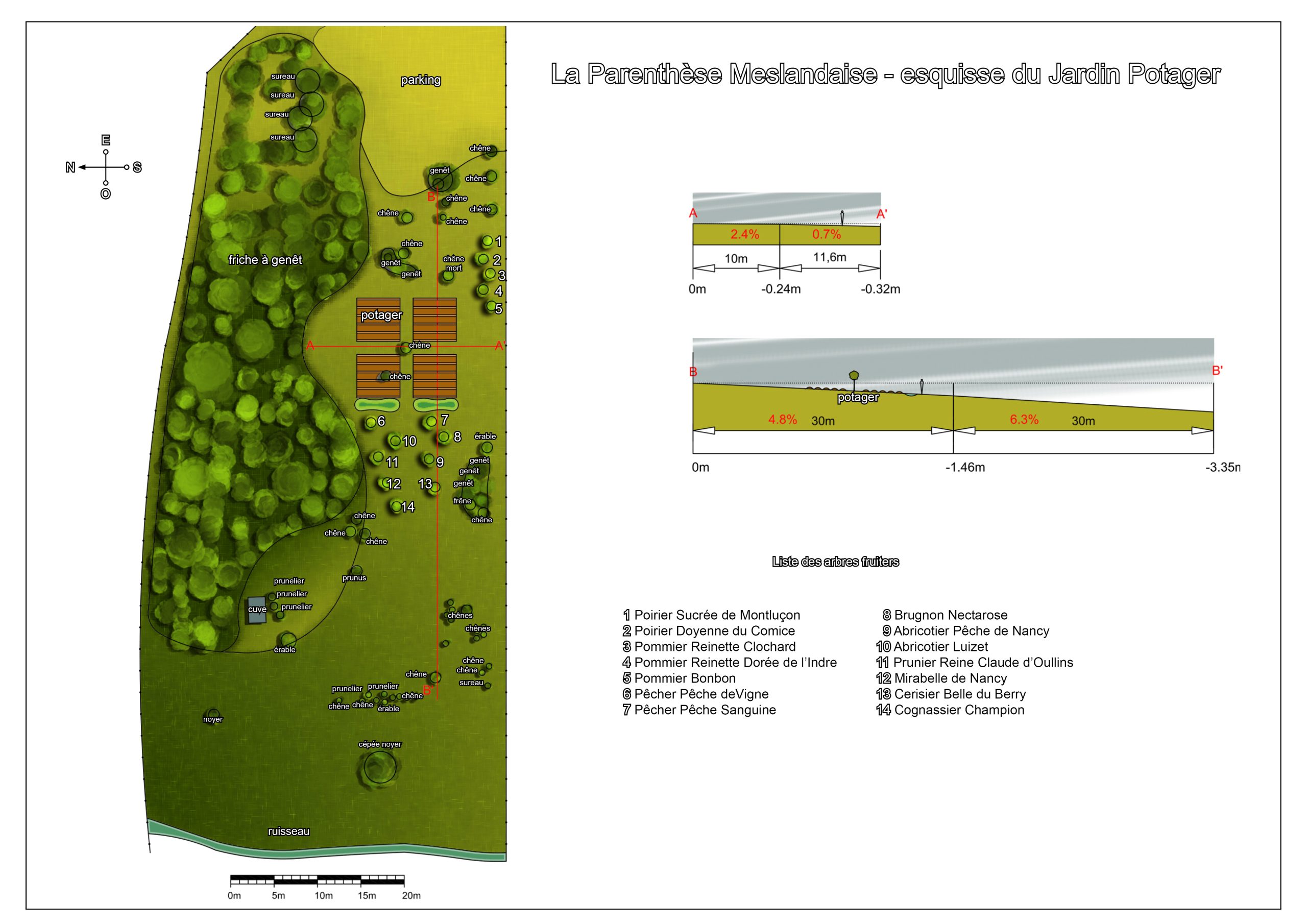 Esquisse aménagement paysager d'un futur verger et potager