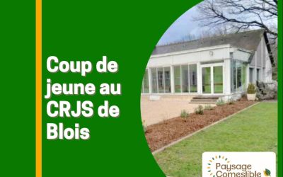 Coup de jeune au CRJS de Blois