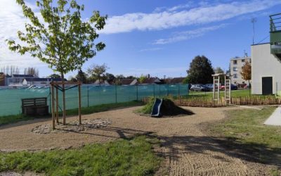 Création d’un jardin pour les petits explorateurs